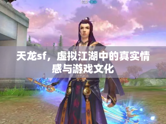 天龙sf，虚拟江湖中的真实情感与游戏文化