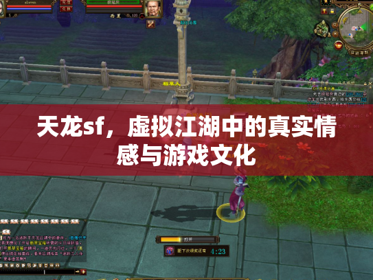 天龙sf，虚拟江湖中的真实情感与游戏文化
