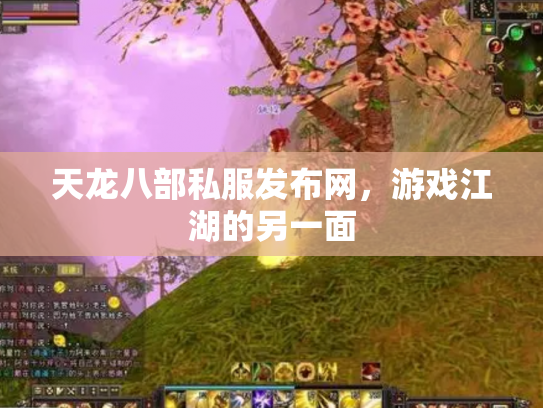天龙八部私服发布网，游戏江湖的另一面