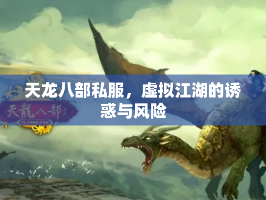 天龙八部私服，虚拟江湖的诱惑与风险