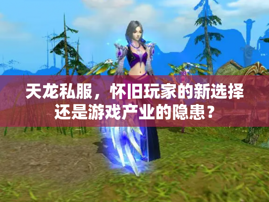天龙私服，怀旧玩家的新选择还是游戏产业的隐患？