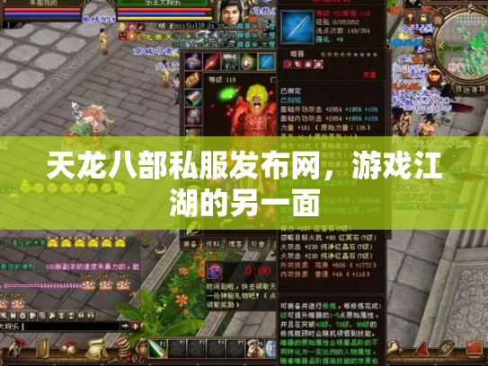 天龙八部私服发布网，游戏江湖的另一面