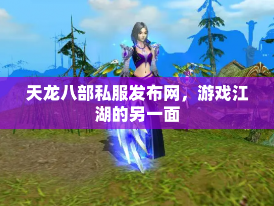 天龙八部私服发布网，游戏江湖的另一面