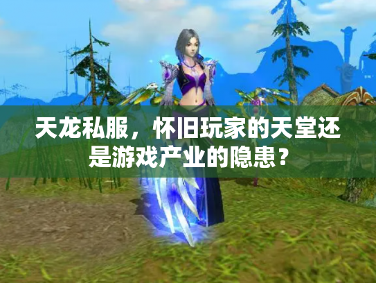 天龙私服，怀旧玩家的天堂还是游戏产业的隐患？
