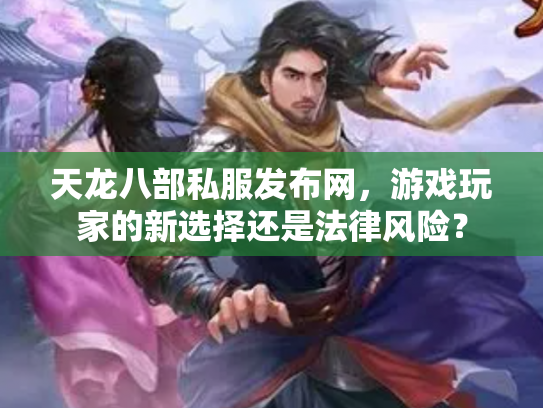 天龙八部私服发布网，游戏玩家的新选择还是法律风险？