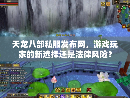 天龙八部私服发布网，游戏玩家的新选择还是法律风险？