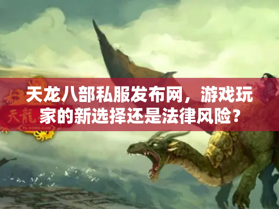 天龙八部私服发布网，游戏玩家的新选择还是法律风险？