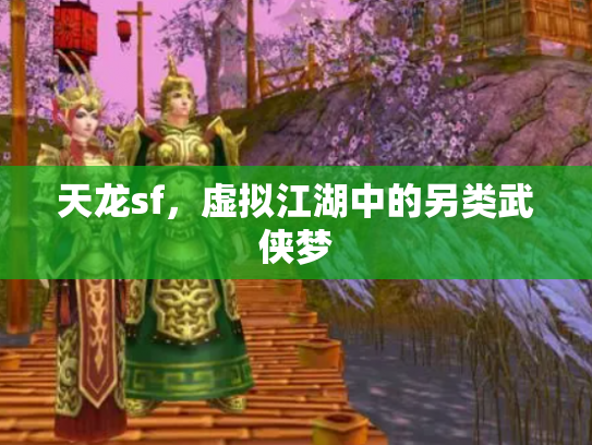 天龙sf，虚拟江湖中的另类武侠梦