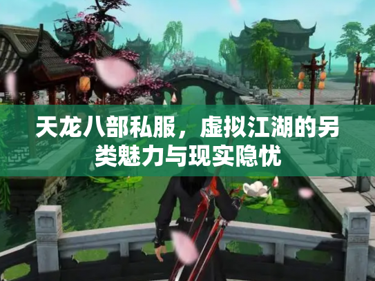 天龙八部私服，虚拟江湖的另类魅力与现实隐忧