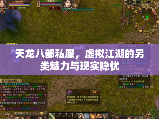天龙八部私服，虚拟江湖的另类魅力与现实隐忧