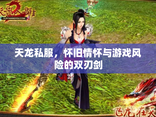 天龙私服，怀旧情怀与游戏风险的双刃剑