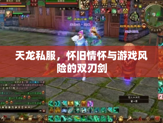 天龙私服，怀旧情怀与游戏风险的双刃剑