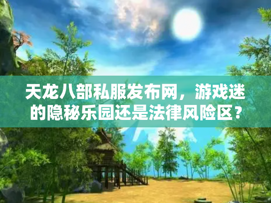天龙八部私服发布网，游戏迷的隐秘乐园还是法律风险区？