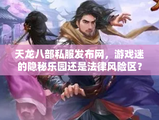 天龙八部私服发布网，游戏迷的隐秘乐园还是法律风险区？