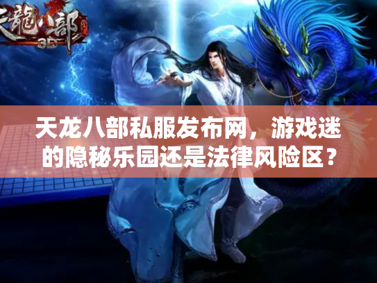 天龙八部私服发布网，游戏迷的隐秘乐园还是法律风险区？