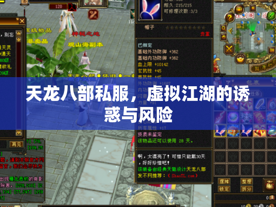 天龙八部私服，虚拟江湖的诱惑与风险