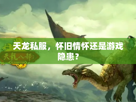 天龙私服，怀旧情怀还是游戏隐患？
