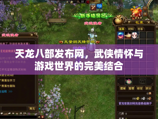 天龙八部发布网，武侠情怀与游戏世界的完美结合