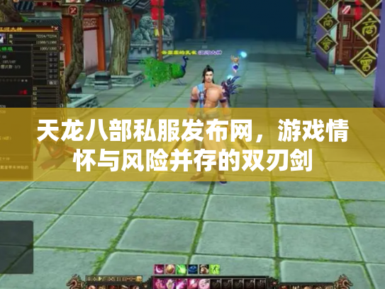 天龙八部私服发布网，游戏情怀与风险并存的双刃剑