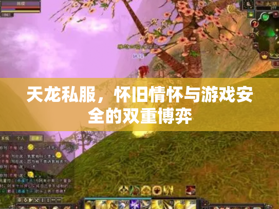 天龙私服，怀旧情怀与游戏安全的双重博弈