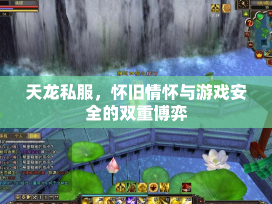 天龙私服，怀旧情怀与游戏安全的双重博弈