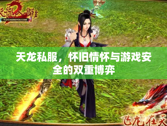 天龙私服，怀旧情怀与游戏安全的双重博弈