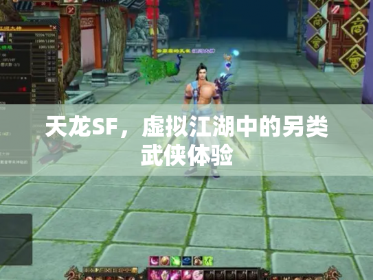天龙SF，虚拟江湖中的另类武侠体验