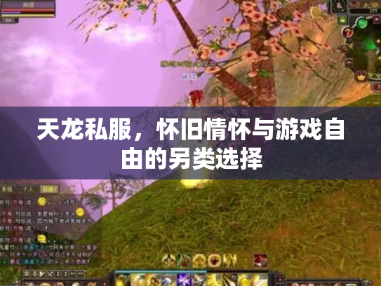 天龙私服，怀旧情怀与游戏自由的另类选择