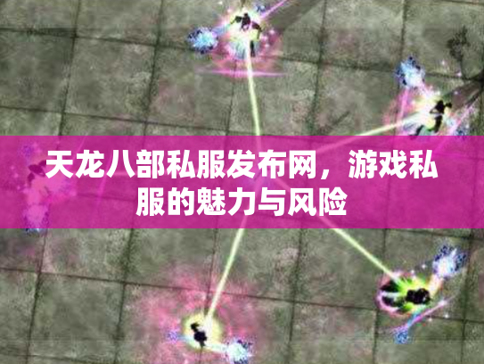 天龙八部私服发布网，游戏私服的魅力与风险