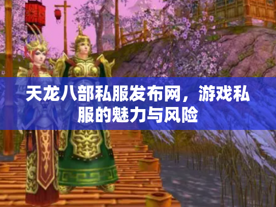 天龙八部私服发布网，游戏私服的魅力与风险