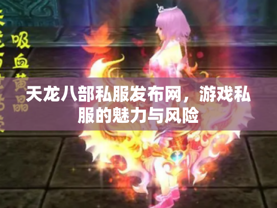 天龙八部私服发布网，游戏私服的魅力与风险