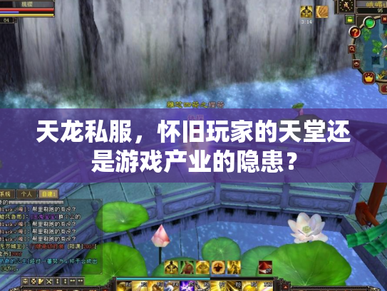天龙私服，怀旧玩家的天堂还是游戏产业的隐患？