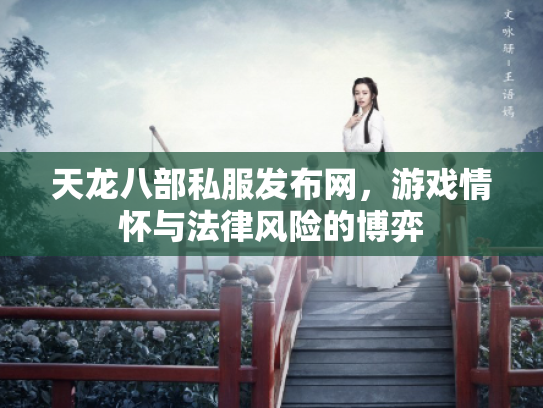 天龙八部私服发布网，游戏情怀与法律风险的博弈