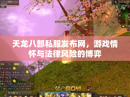 天龙八部私服发布网，游戏情怀与法律风险的博弈