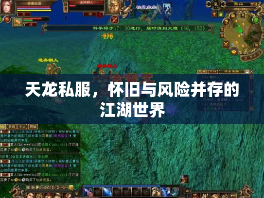 天龙私服，怀旧与风险并存的江湖世界