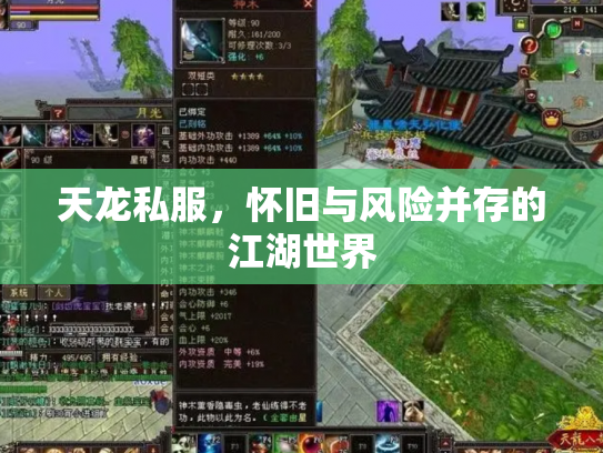天龙私服，怀旧与风险并存的江湖世界