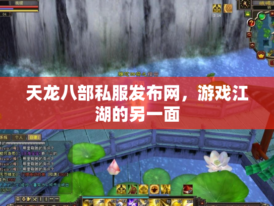 天龙八部私服发布网，游戏江湖的另一面