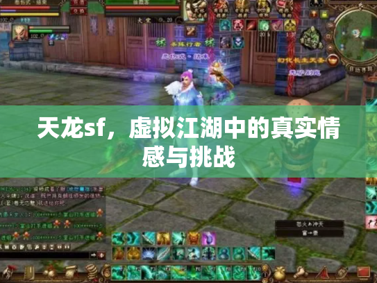 天龙sf，虚拟江湖中的真实情感与挑战