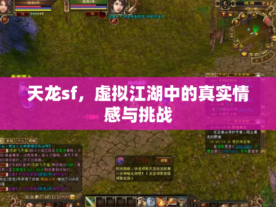 天龙sf，虚拟江湖中的真实情感与挑战