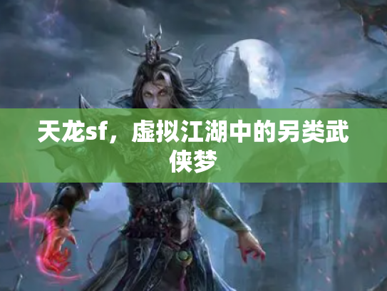 天龙sf，虚拟江湖中的另类武侠梦