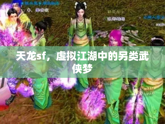 天龙sf，虚拟江湖中的另类武侠梦