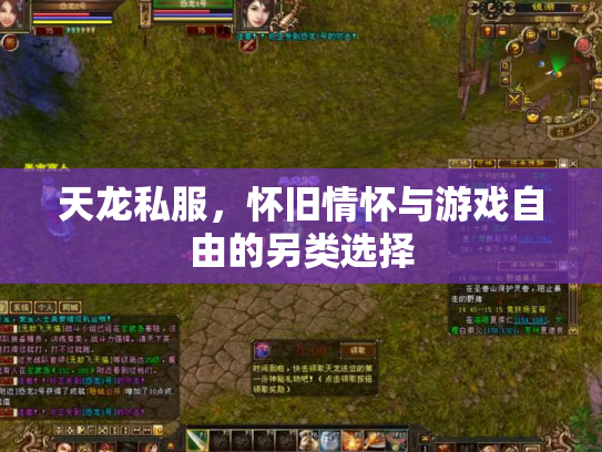 天龙私服，怀旧情怀与游戏自由的另类选择