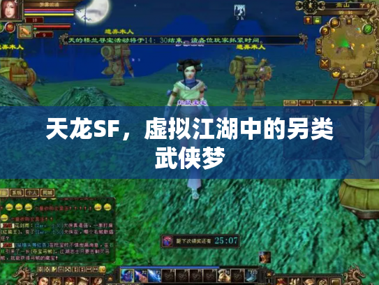 天龙SF，虚拟江湖中的另类武侠梦