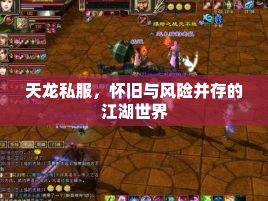 天龙私服，怀旧与风险并存的江湖世界
