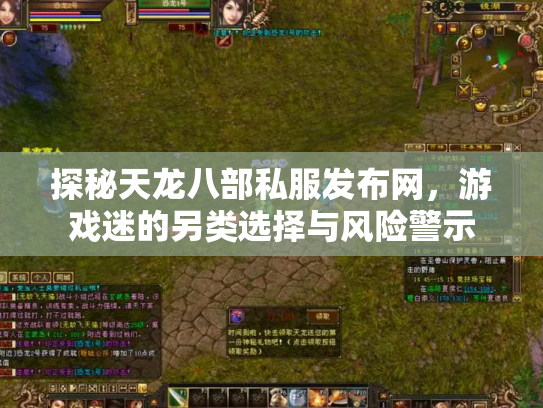 探秘天龙八部私服发布网，游戏迷的另类选择与风险警示