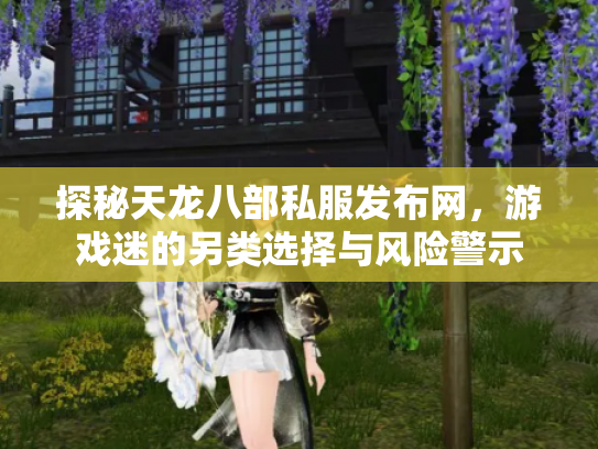 探秘天龙八部私服发布网，游戏迷的另类选择与风险警示