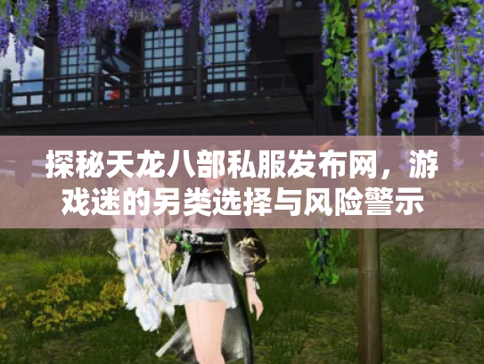 探秘天龙八部私服发布网，游戏迷的另类选择与风险警示