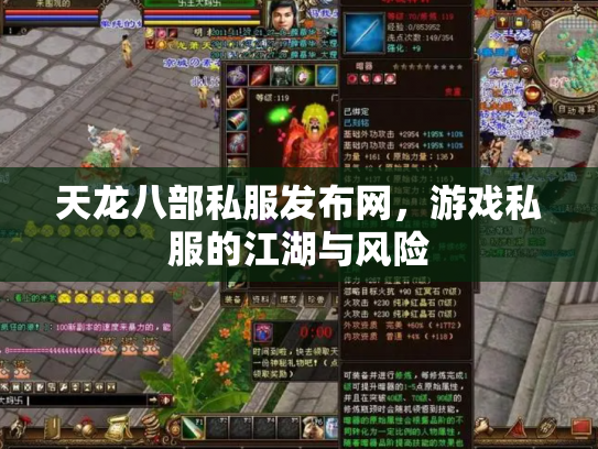 天龙八部私服发布网，游戏私服的江湖与风险
