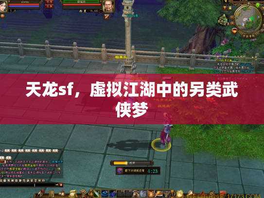 天龙sf，虚拟江湖中的另类武侠梦