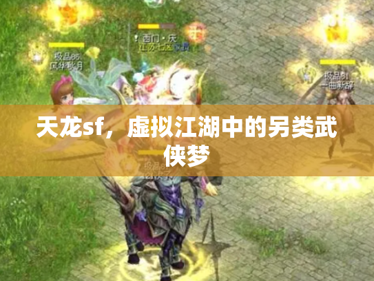 天龙sf，虚拟江湖中的另类武侠梦
